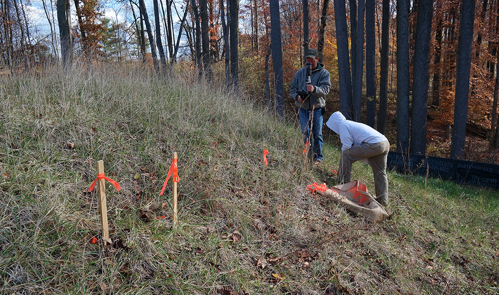 Prospect Green Survey 1000px