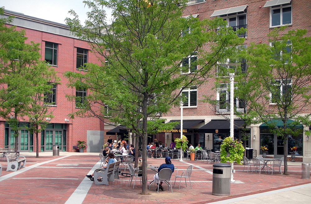 Princeton Redevelop Photo 1000px