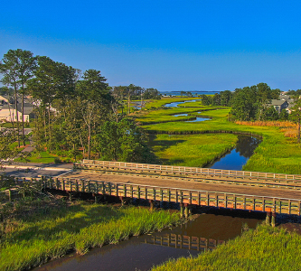 Str Bridges – Veh – Bay Forest Bridge 333x300px